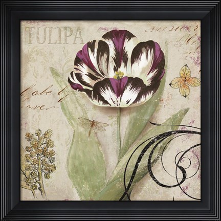 Framed Tulipa II Print