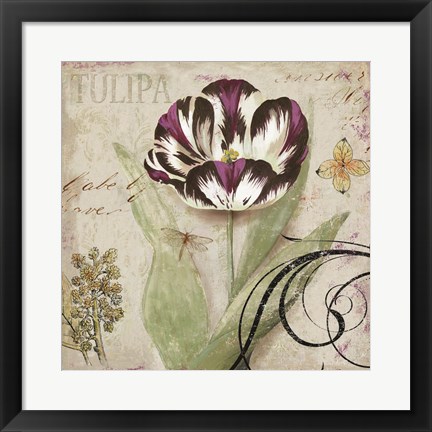 Framed Tulipa II Print