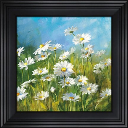 Framed Summer Field II Print