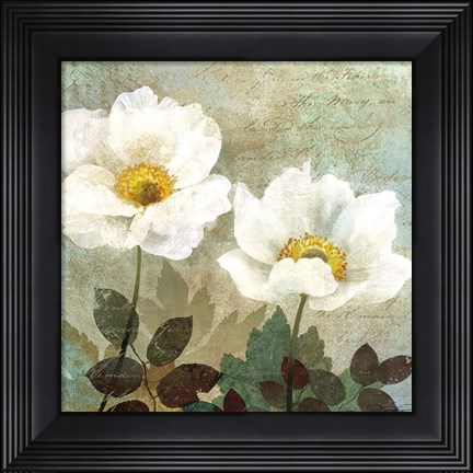 Framed Anemone II Print