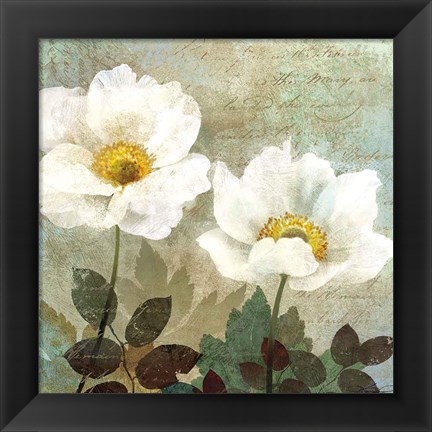 Framed Anemone II Print