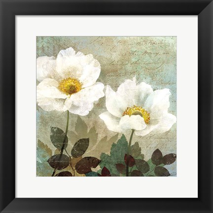 Framed Anemone II Print