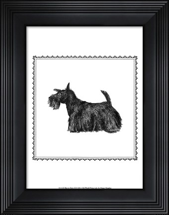 Framed Best in Show IX Print