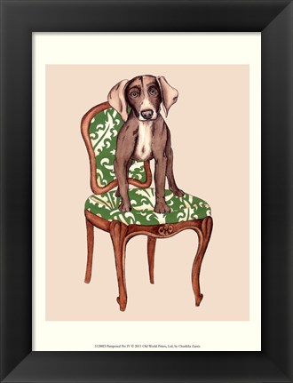 Framed Pampered Pet IV Print