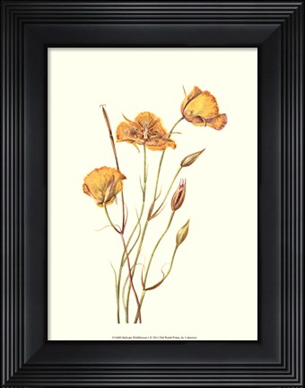 Framed Delicate Wildflowers I Print