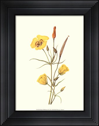 Framed Delicate Wildflowers III Print