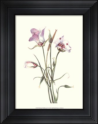 Framed Delicate Wildflowers IV Print