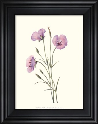 Framed Delicate Wildflowers VI Print