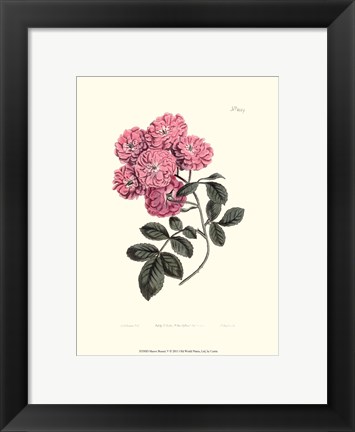 Framed Mauve Beauty V Print