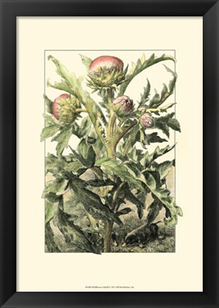 Framed Wildflower Field III Print