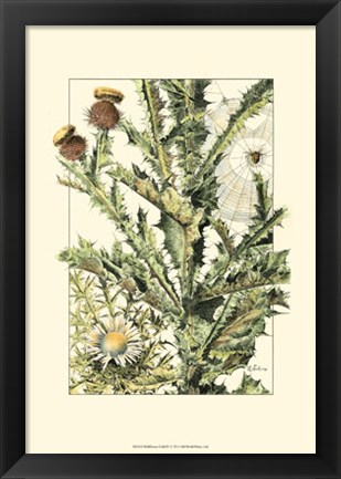 Framed Wildflower Field IV Print