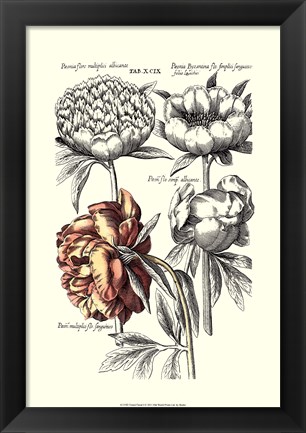 Framed Tinted Floral I Print