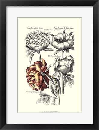 Framed Tinted Floral I Print