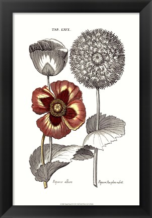 Framed Tinted Floral II Print