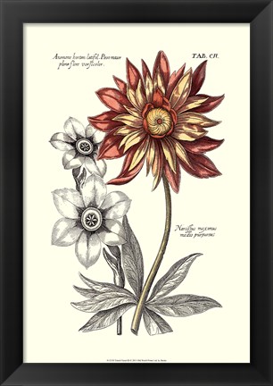 Framed Tinted Floral III Print