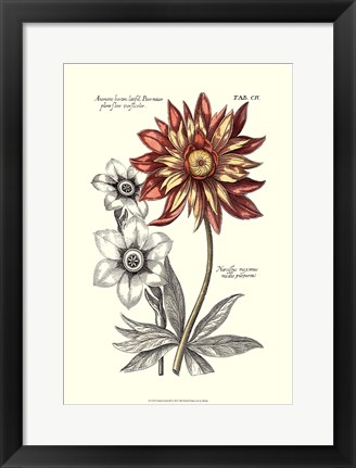 Framed Tinted Floral III Print
