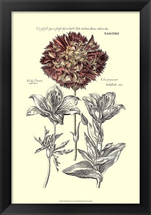 Framed Tinted Floral IV Print