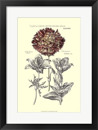 Framed Tinted Floral IV Print
