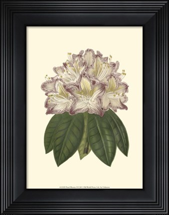 Framed Pastel Blooms I Print