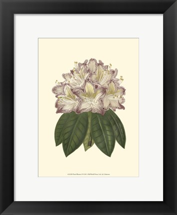 Framed Pastel Blooms I Print