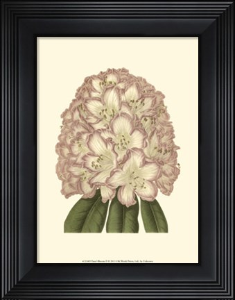 Framed Pastel Blooms II Print