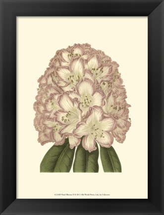 Framed Pastel Blooms II Print