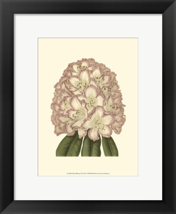Framed Pastel Blooms II Print