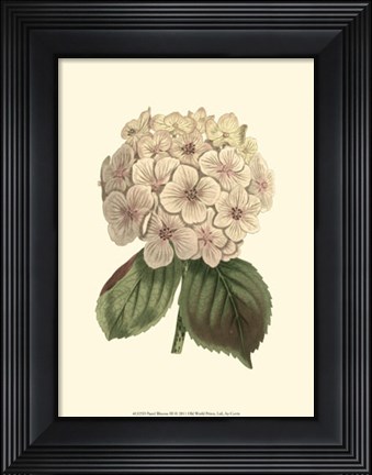 Framed Pastel Blooms III Print