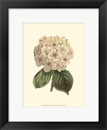Framed Pastel Blooms III Print