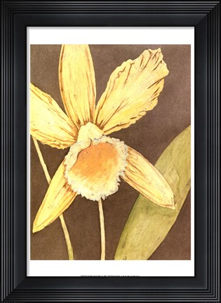 Framed Orchid &amp; Earth I Print