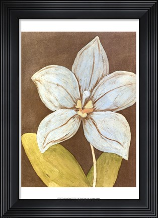 Framed Orchid &amp; Earth II Print