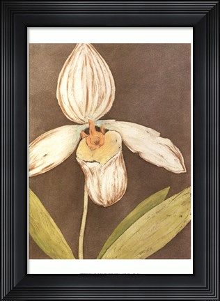 Framed Orchid &amp; Earth III Print