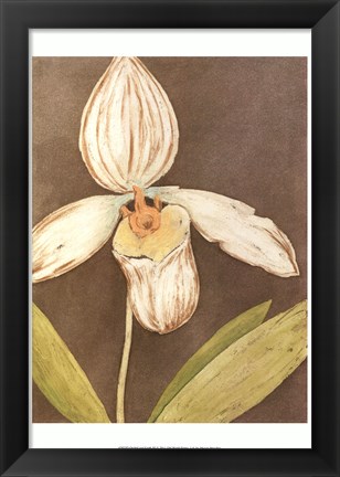 Framed Orchid &amp; Earth III Print