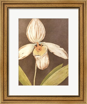 Framed Orchid &amp; Earth III Print