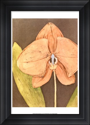 Framed Orchid &amp; Earth IV Print