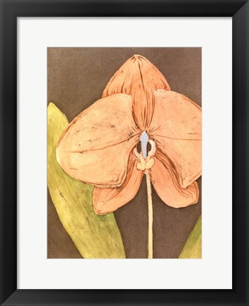 Framed Orchid &amp; Earth IV Print