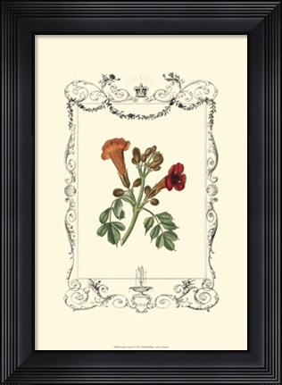 Framed Garden Charm IV Print