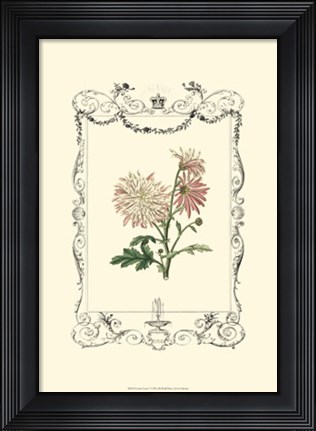 Framed Garden Charm V Print