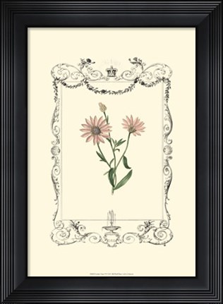 Framed Garden Charm VI Print