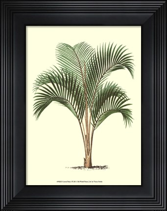 Framed Coastal Palm I Print