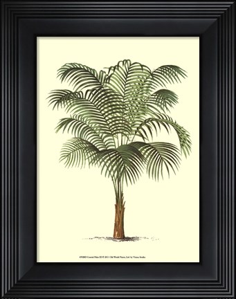 Framed Coastal Palm III Print