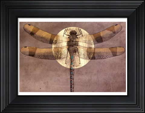 Framed Full Moon Serenade II Print