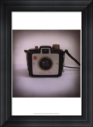 Framed Camera Collection II Print
