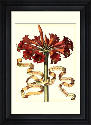 Framed Ribbon Florals I Print