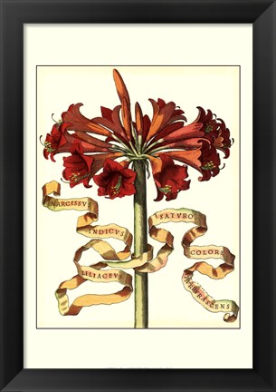 Framed Ribbon Florals I Print