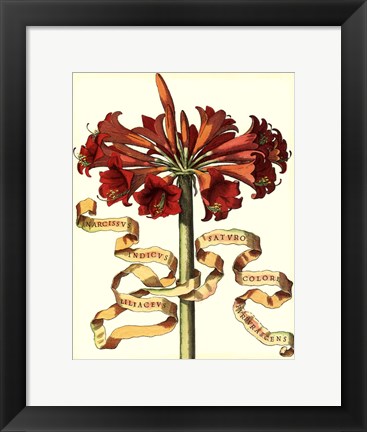 Framed Ribbon Florals I Print