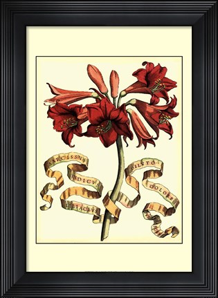 Framed Ribbon Florals II Print