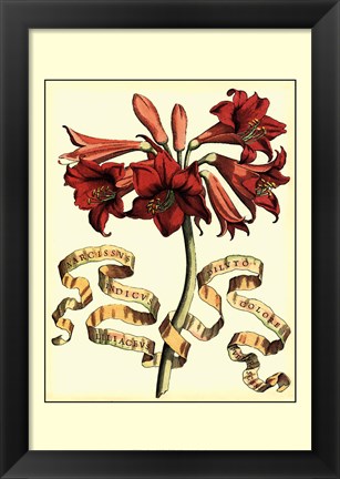 Framed Ribbon Florals II Print