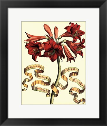 Framed Ribbon Florals II Print