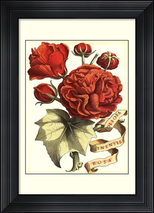 Framed Ribbon Florals III Print